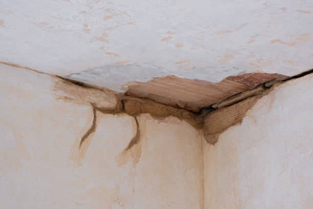 Best Emergency water damage restoration  in Panama City, FL