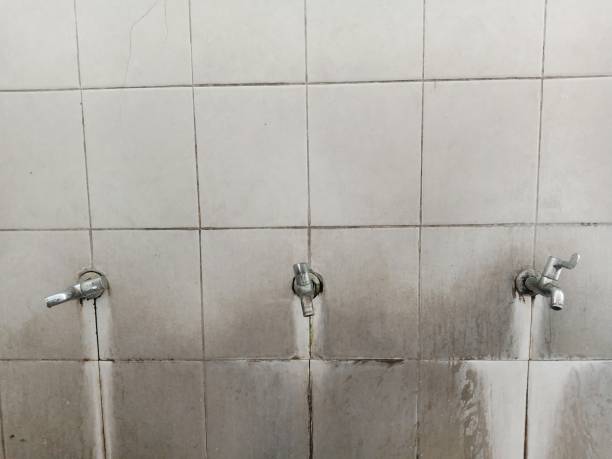 Best Water damage restoration company  in Panama City, FL